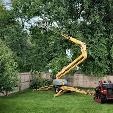 Best Tree Mulching  in Coldspring, TX