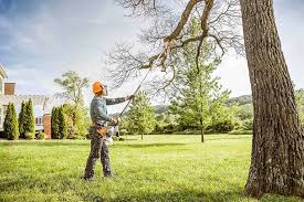 How Our Tree Care Process Works  in  Coldspring, TX